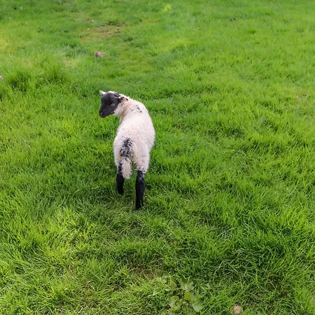 Holiday home Herdie Hideaway *