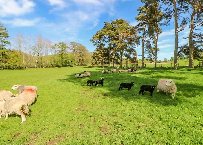 Herdie Hideaway Holiday home Croasdale