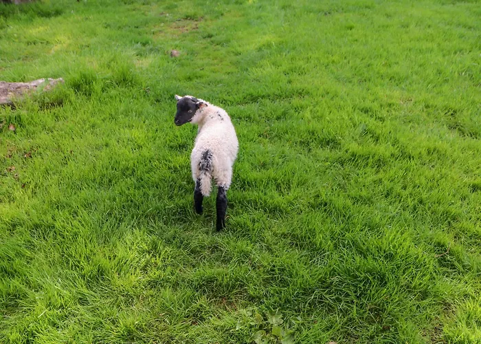 Holiday home Herdie Hideaway *